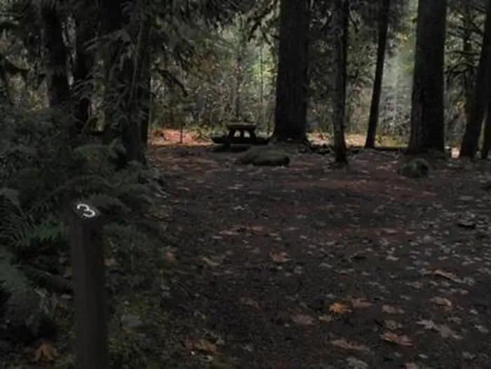 French Pete Campground — photo 1