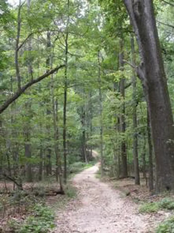 Rock Creek Park Group Picnic Areas (Dc) — photo 1
