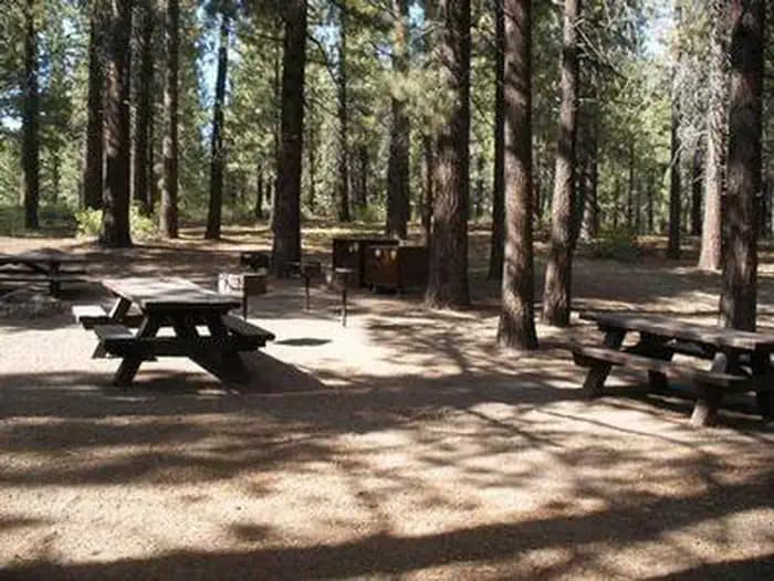Pine Glen — photo 1