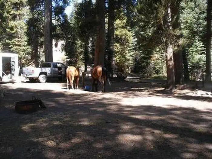 Agnew Horse Camp — photo 1
