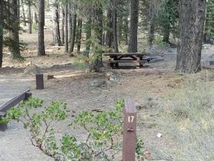 Cottonwood Creek — photo 1