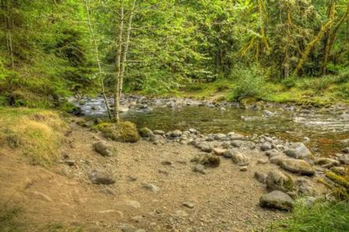North Fork Beaver Group Camp — photo 1