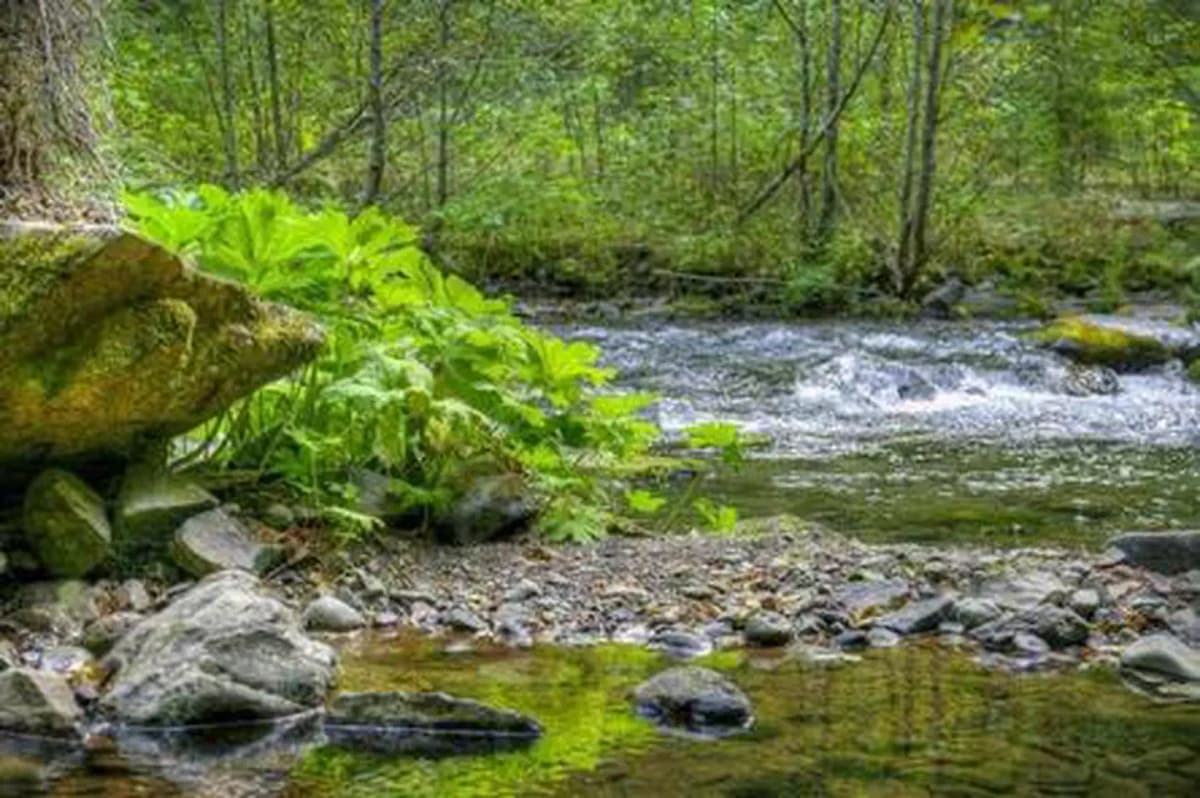 Panther Creek Campground — photo 1