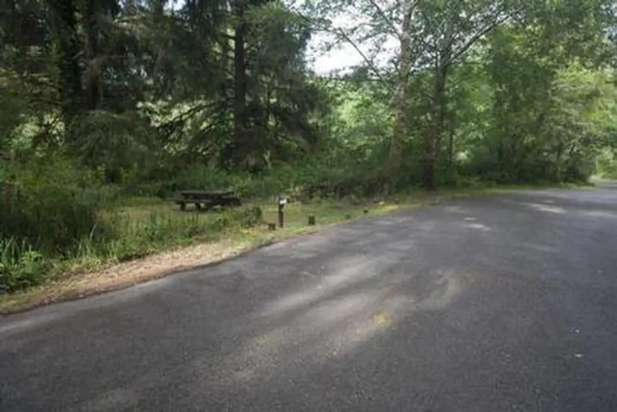 Tyee Campground - Oregon Dunes — photo 1