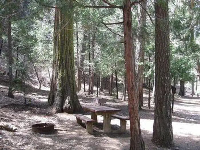 Fry Creek Campground — photo 1