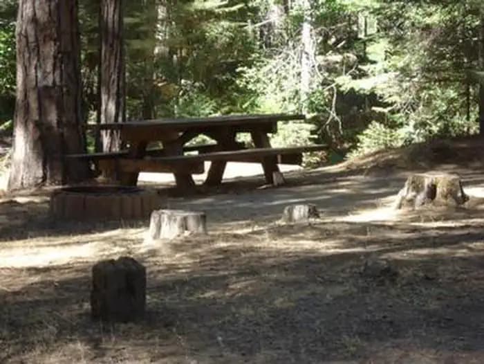 Eshom Campground — photo 1