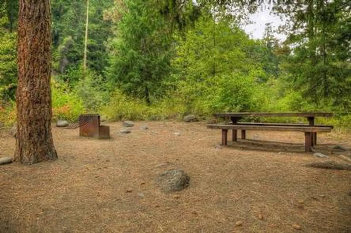 Willows Campground — photo 1