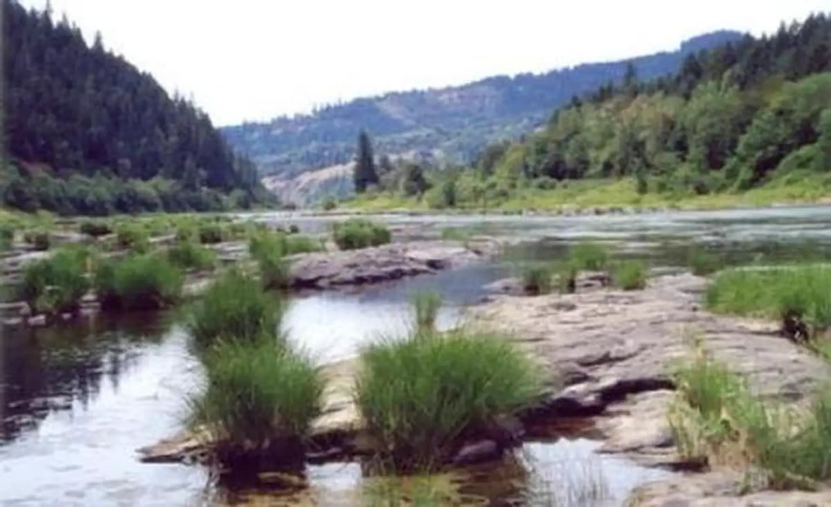 Tyee Campground - Umpqua River — photo 1