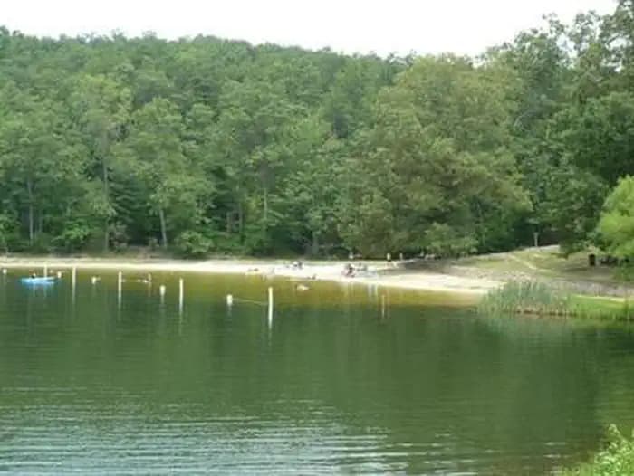 Chilhowee Campground — photo 1