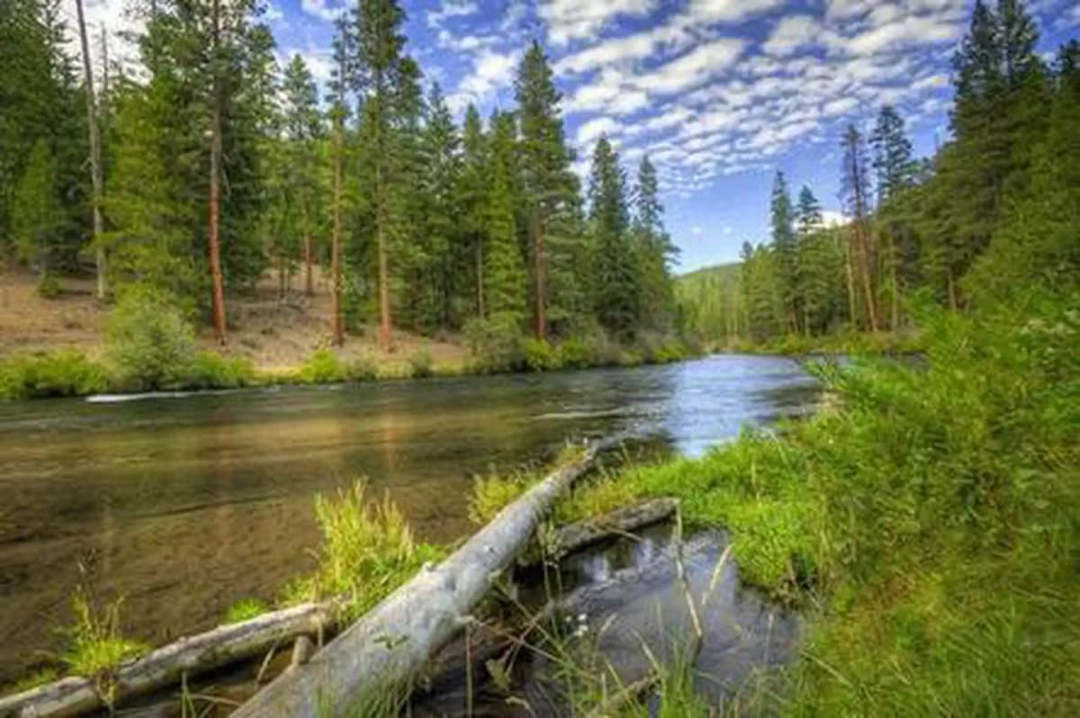 Pioneer Ford Campground — photo 1