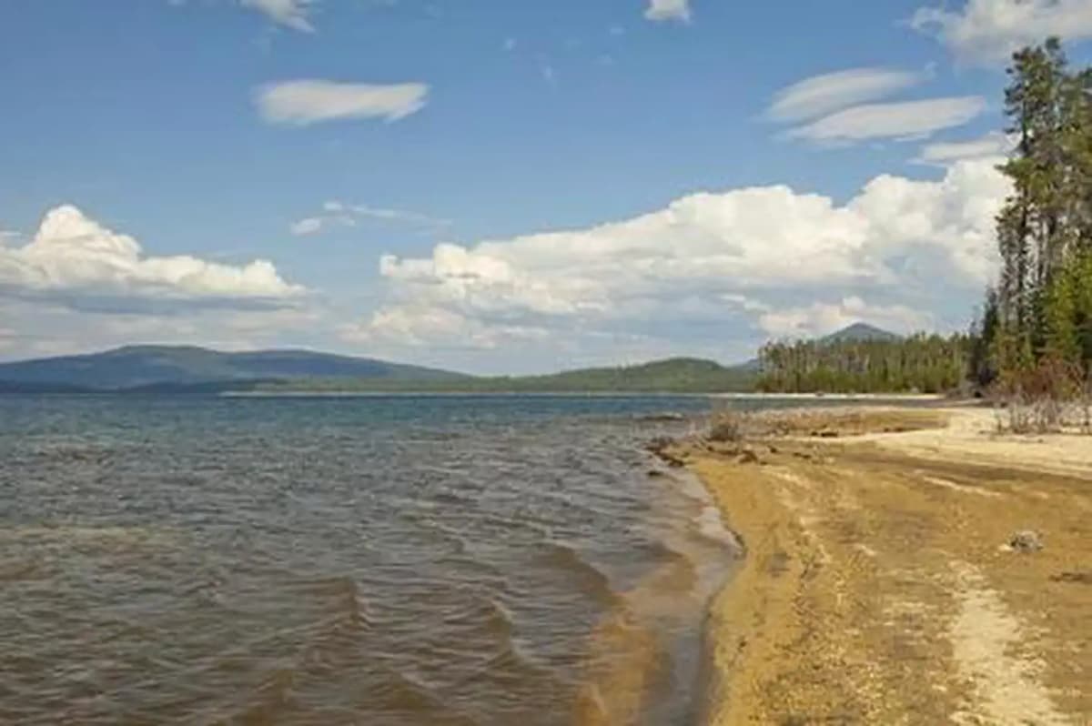 Contorta Flat Campground — photo 1