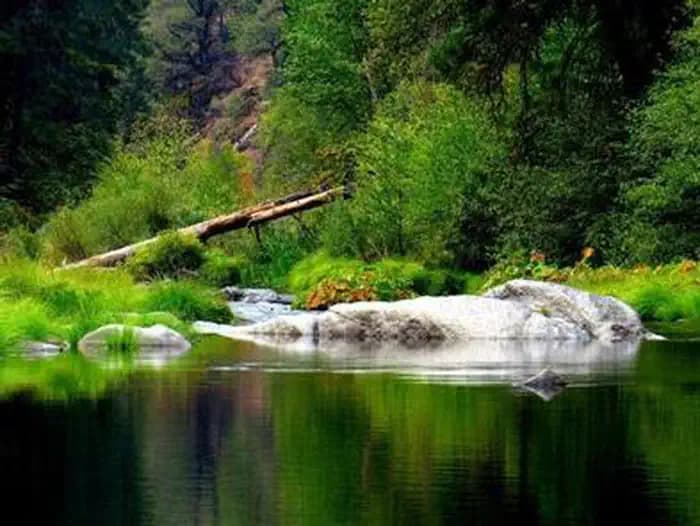 Bridal Veil Group Area And Picnic Ground — photo 1