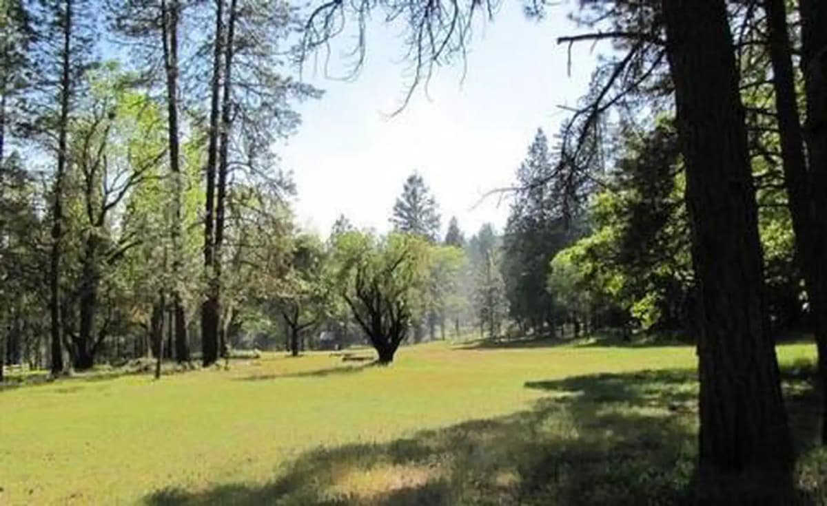 Flumet Flat Group Campground — photo 1