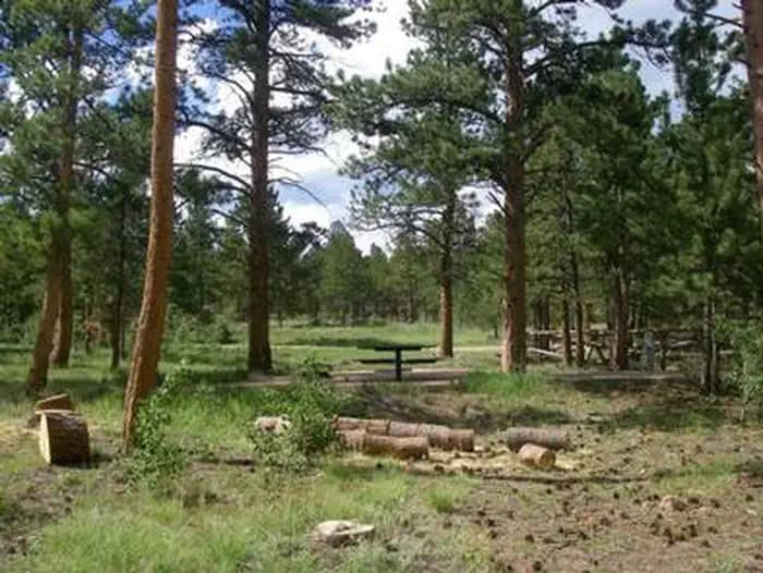 Jacks Gulch — photo 1