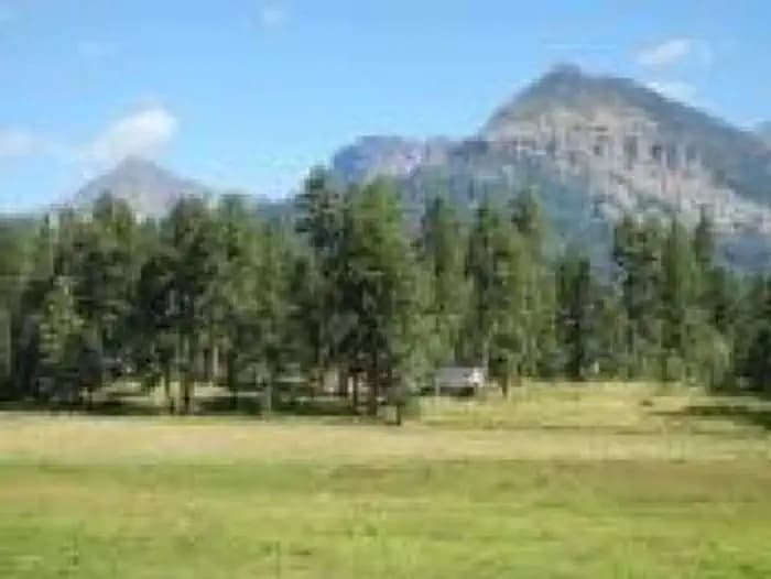 Williams Creek Campground — photo 1