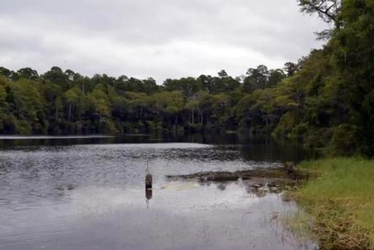 Wright Lake Campground — photo 1