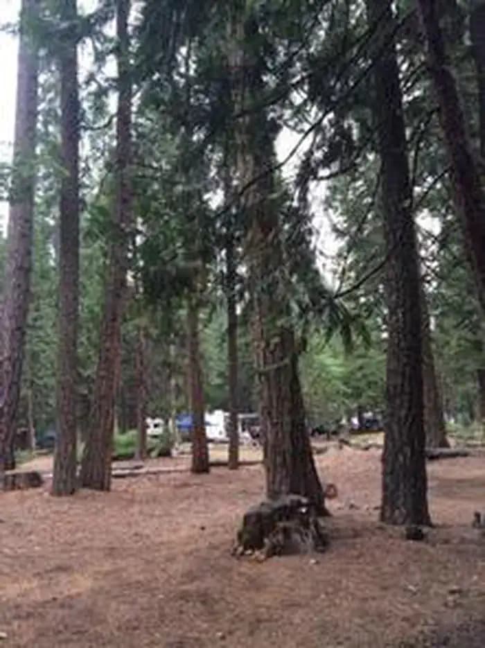 Wench Creek — photo 1