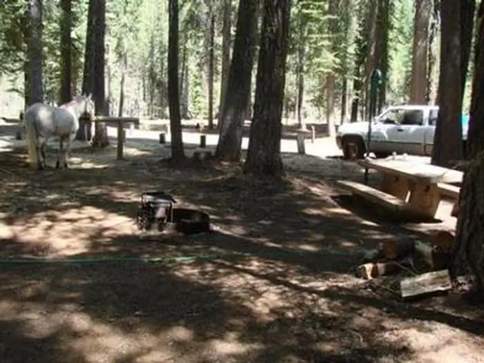 Horse Campground — photo 1