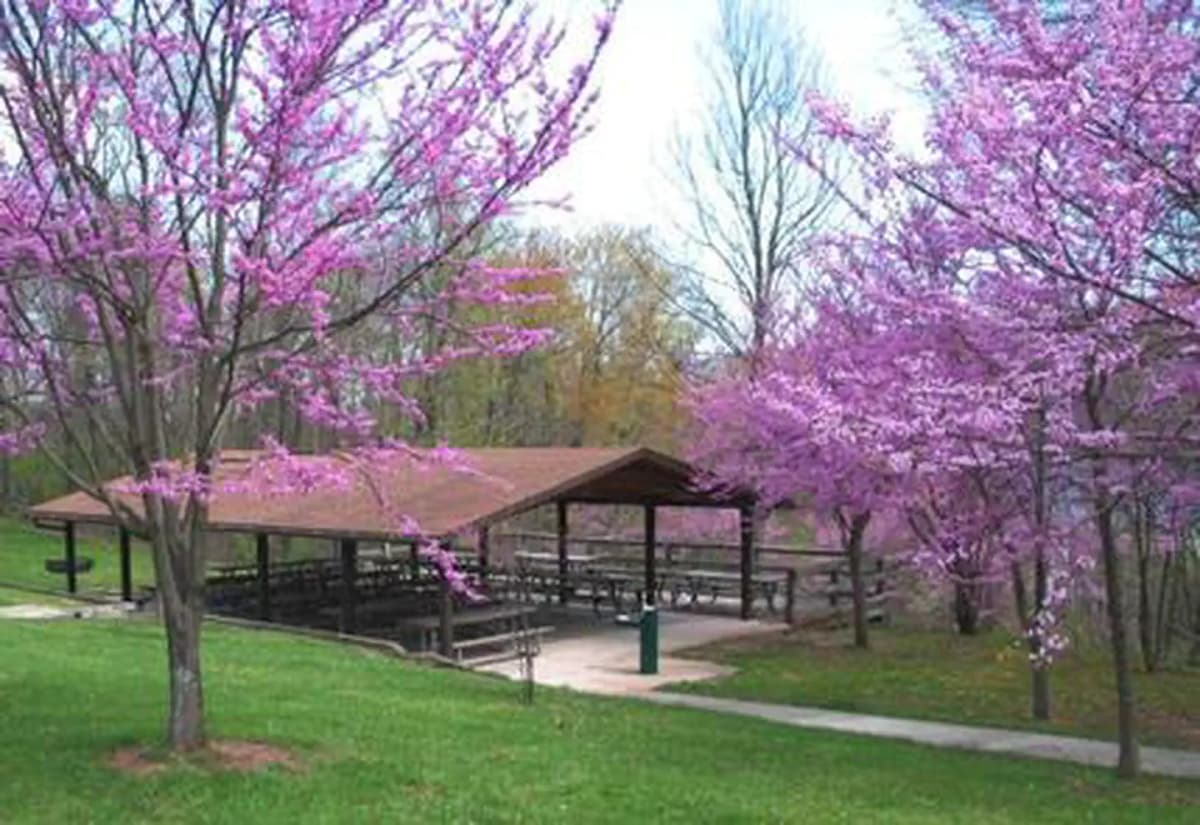 Seven Points Picnic Shelters — photo 1