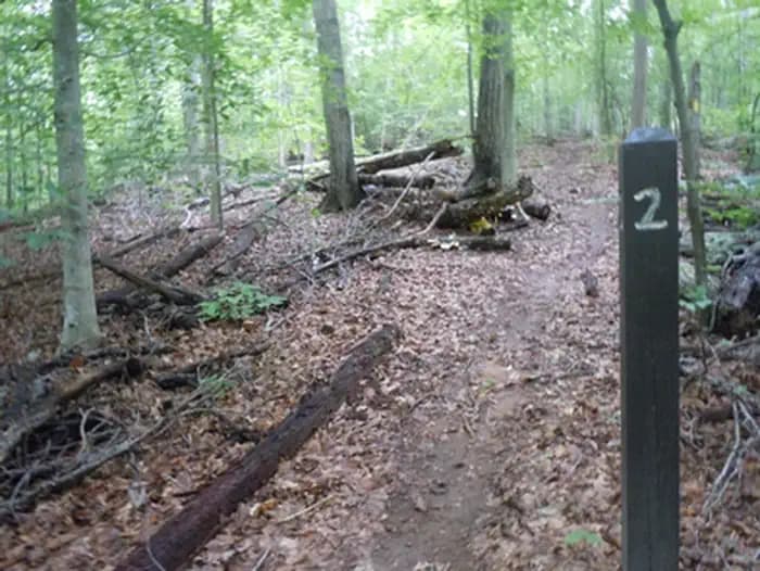 Chopawamsic Backcountry Camping Permits — photo 1