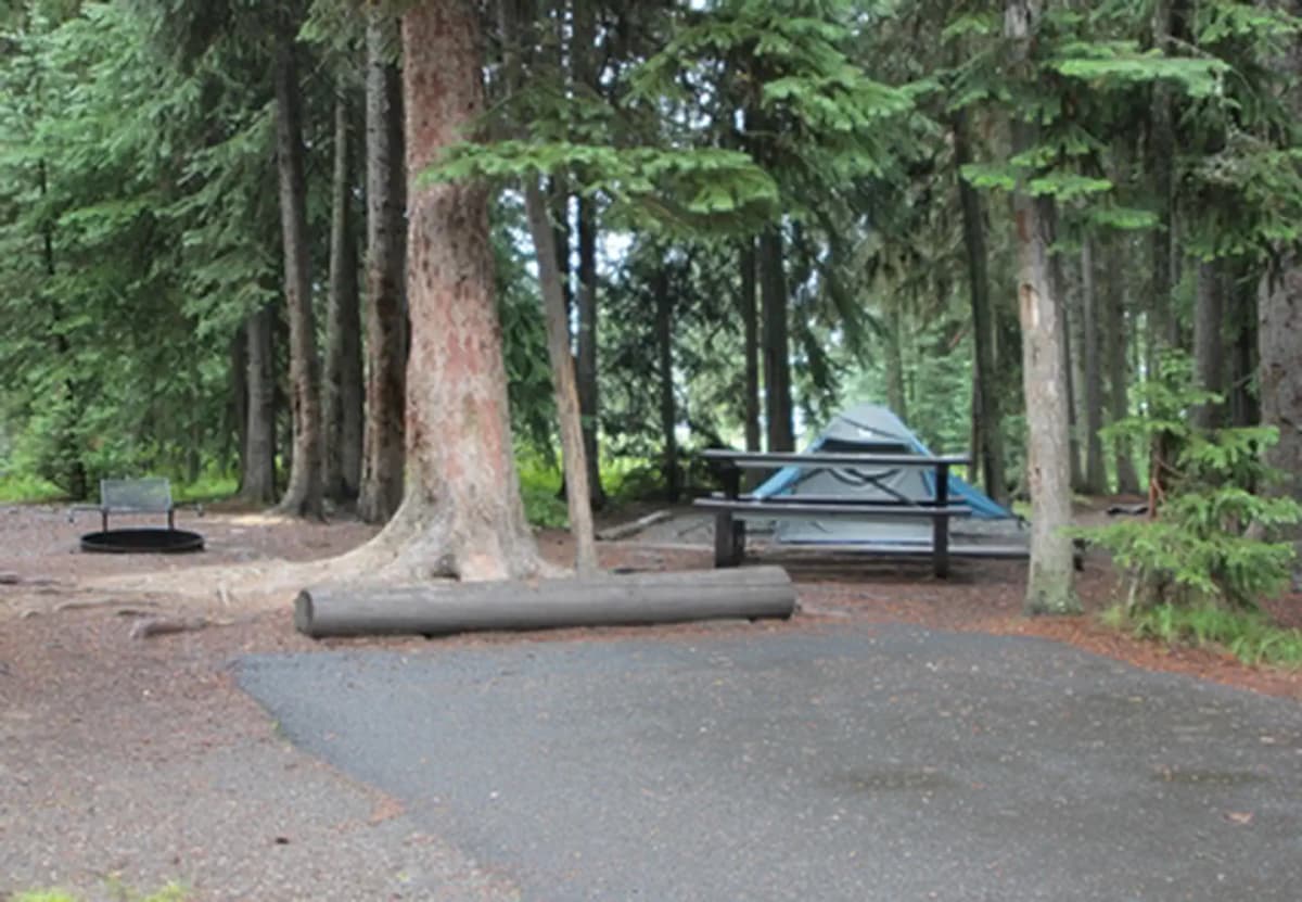 Bridge Bay Campground — photo 1