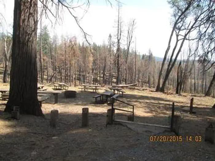 Black Oak — photo 1