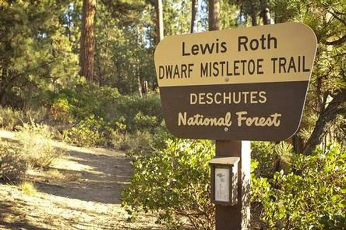 North Twin Lake Campground — photo 1