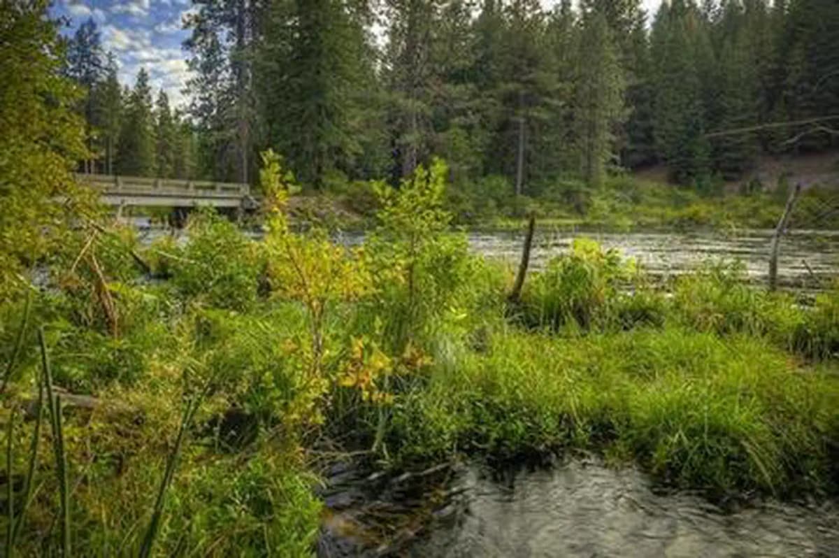 Lower Bridge Campground — photo 1