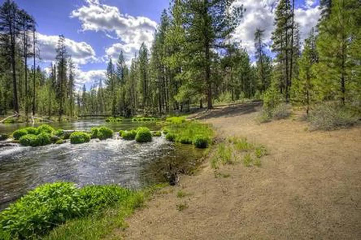 Fall River Campground — photo 1