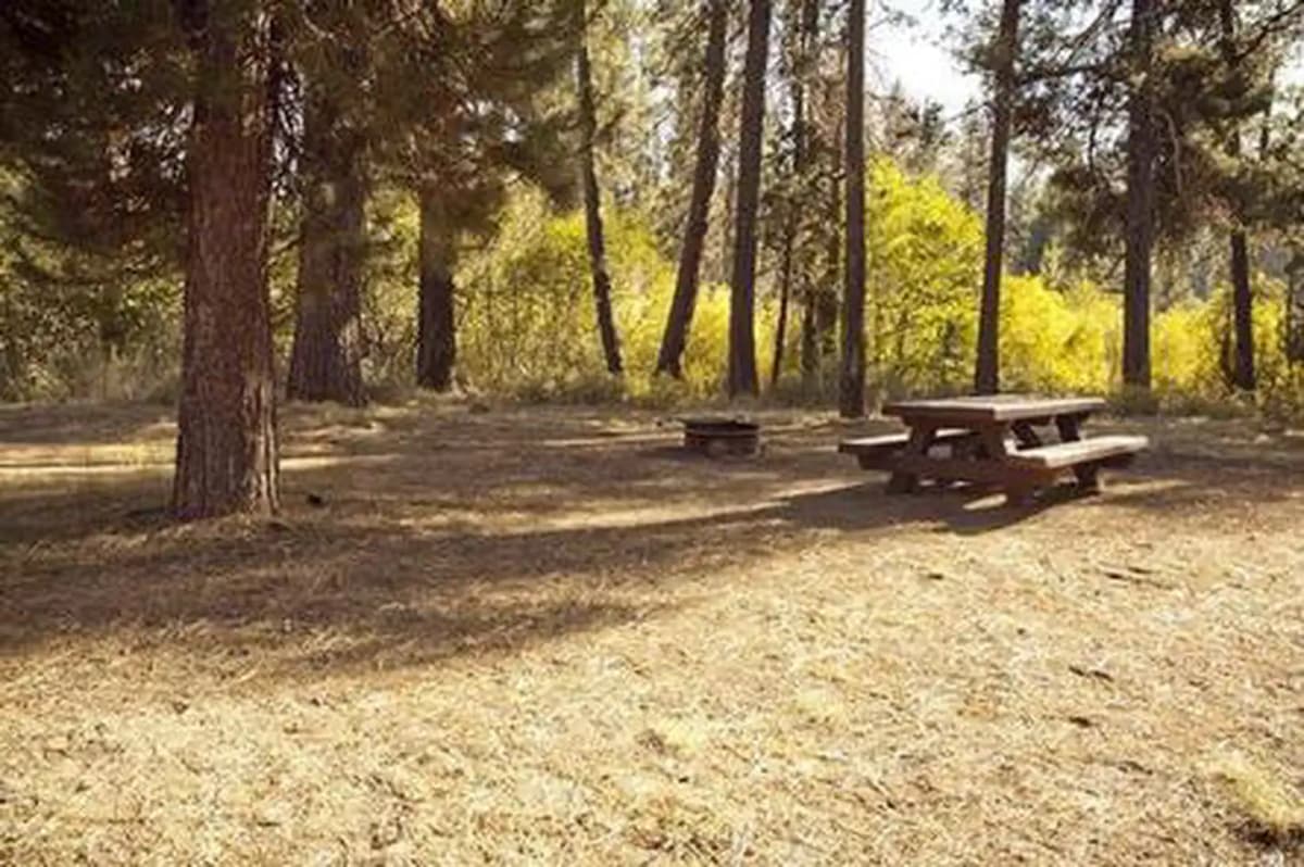Crescent Creek Campground — photo 1