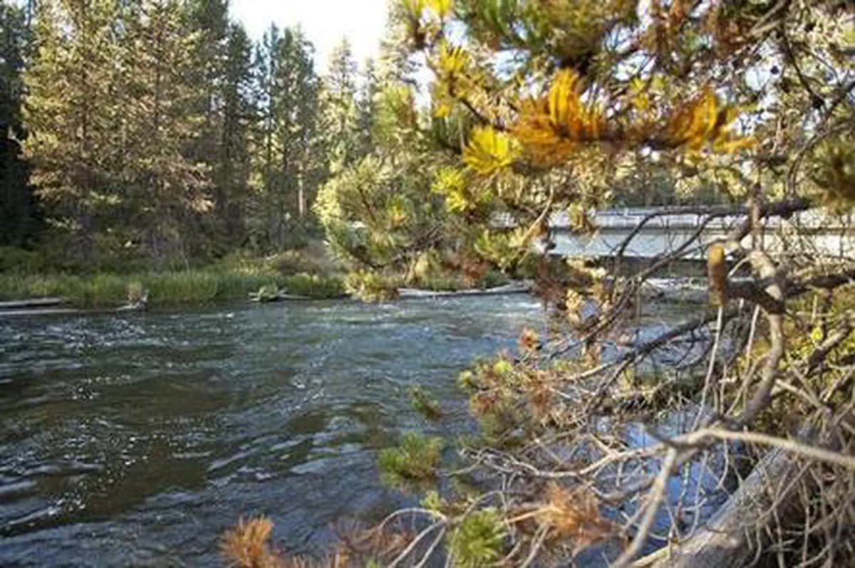North Davis Creek Campground — photo 1