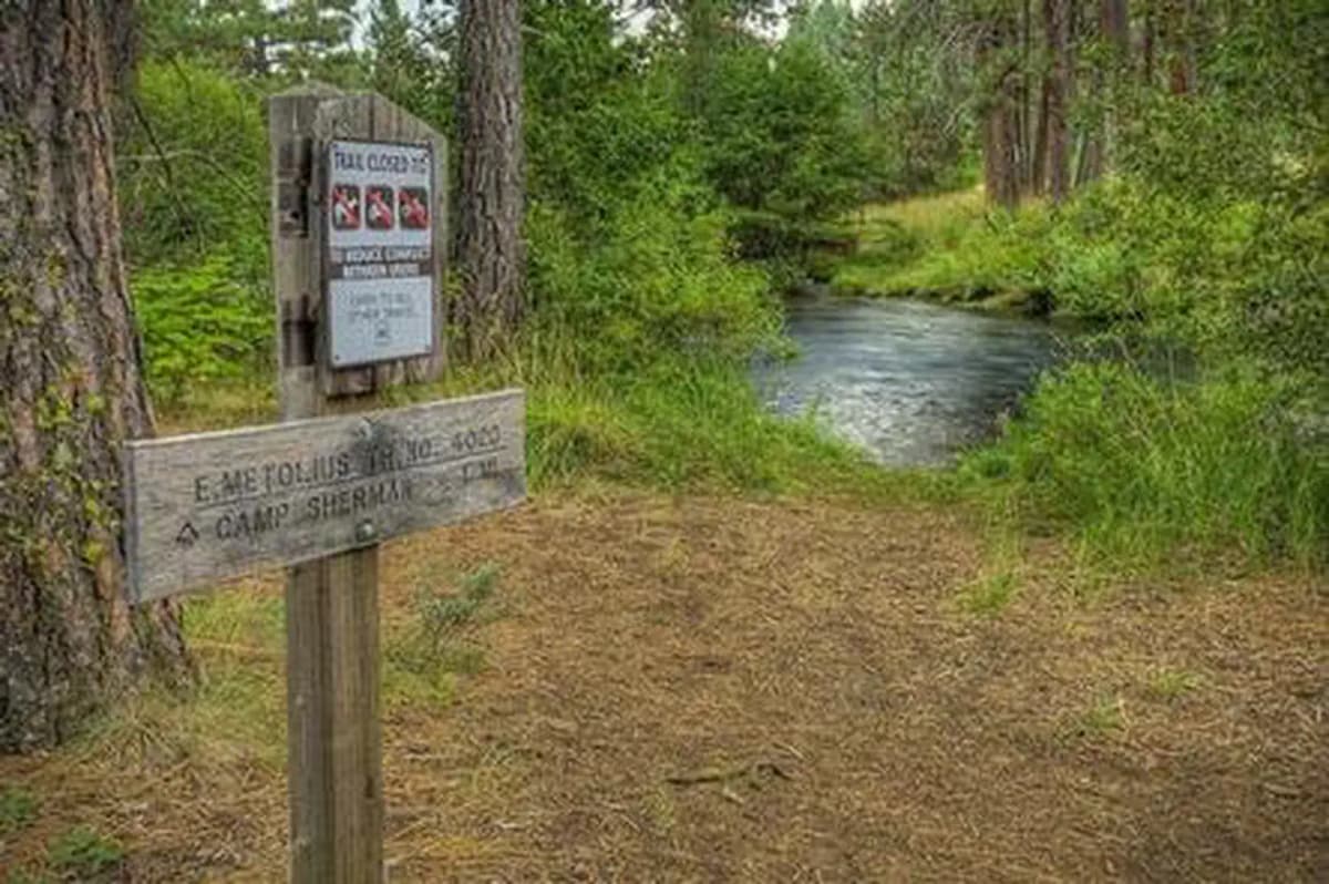 Allingham Campground — photo 1