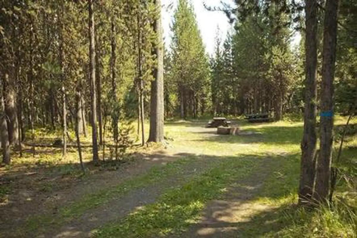 Cow Meadow Campground — photo 1