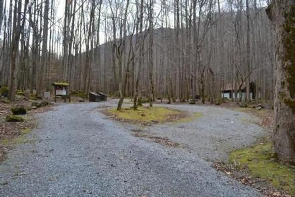 Big Creek Campground (Great Smoky Mountains National Park) — photo 1