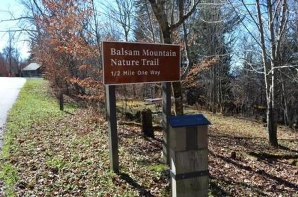 Balsam Mountain Campground — photo 1