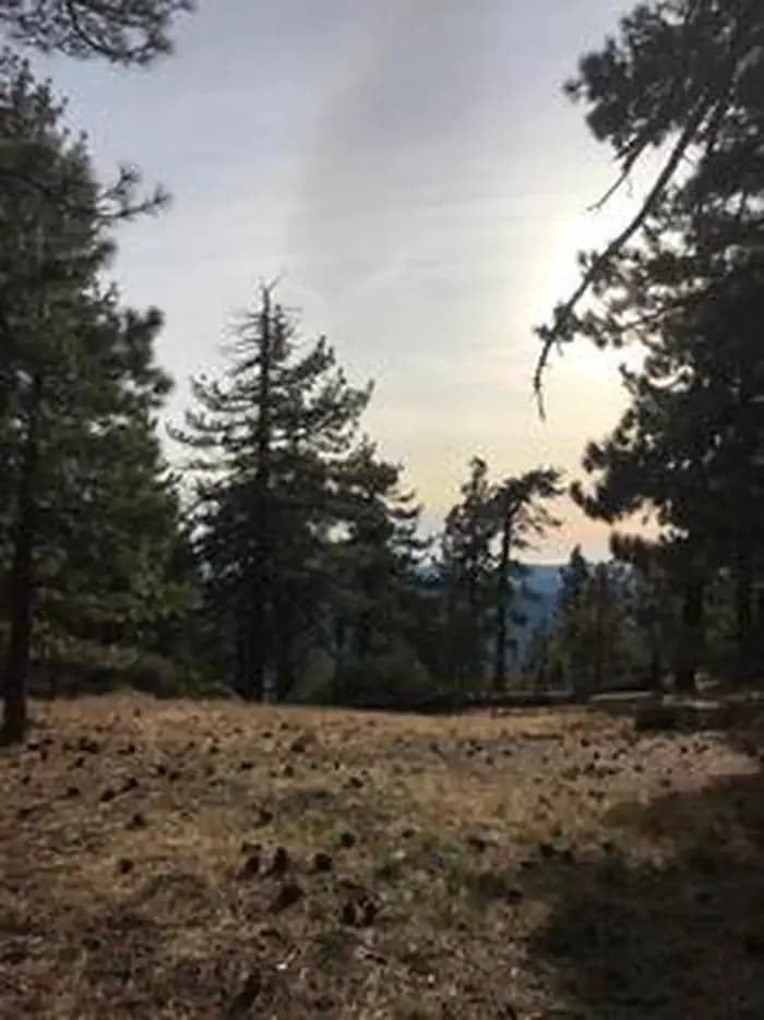 Reyes Peak Campground — photo 1