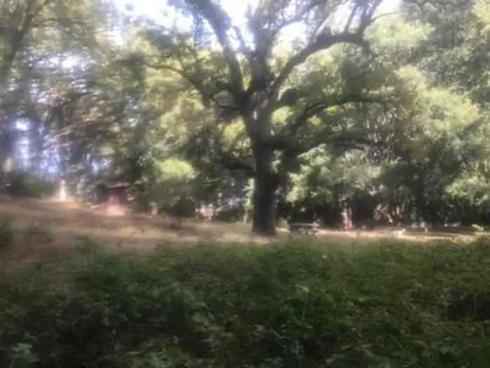 White Oaks Campground — photo 1