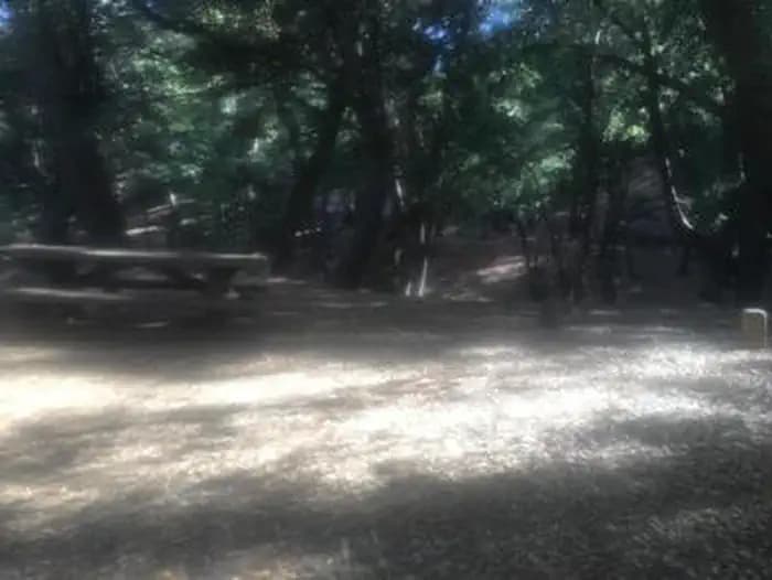 China Camp Campground — photo 1