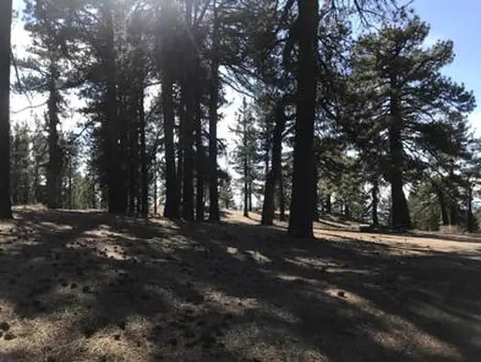 Campo Alto Campground — photo 1