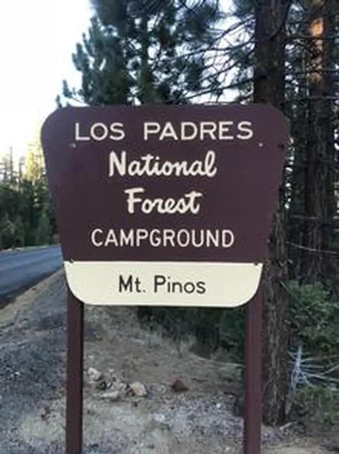 Mt. Pinos Campground — photo 1
