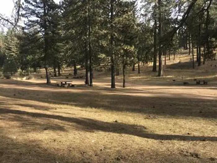 Pine Mountain Campground — photo 1