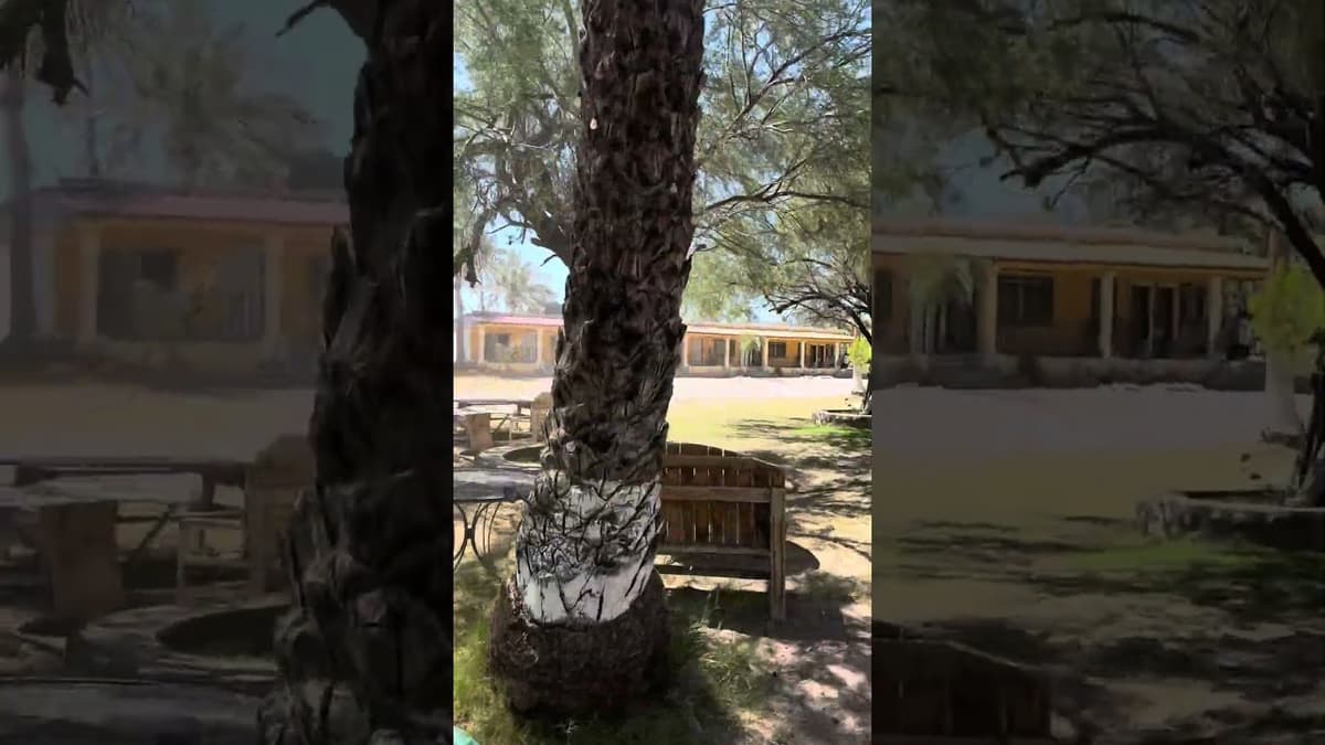 El Padrino RV Park San Ignacio Baja California Sur full hookups