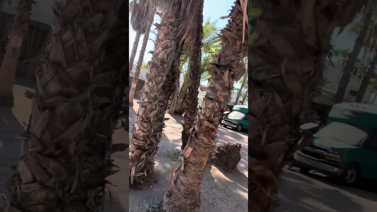 Romanita RV Park Loreto Baja California Sur