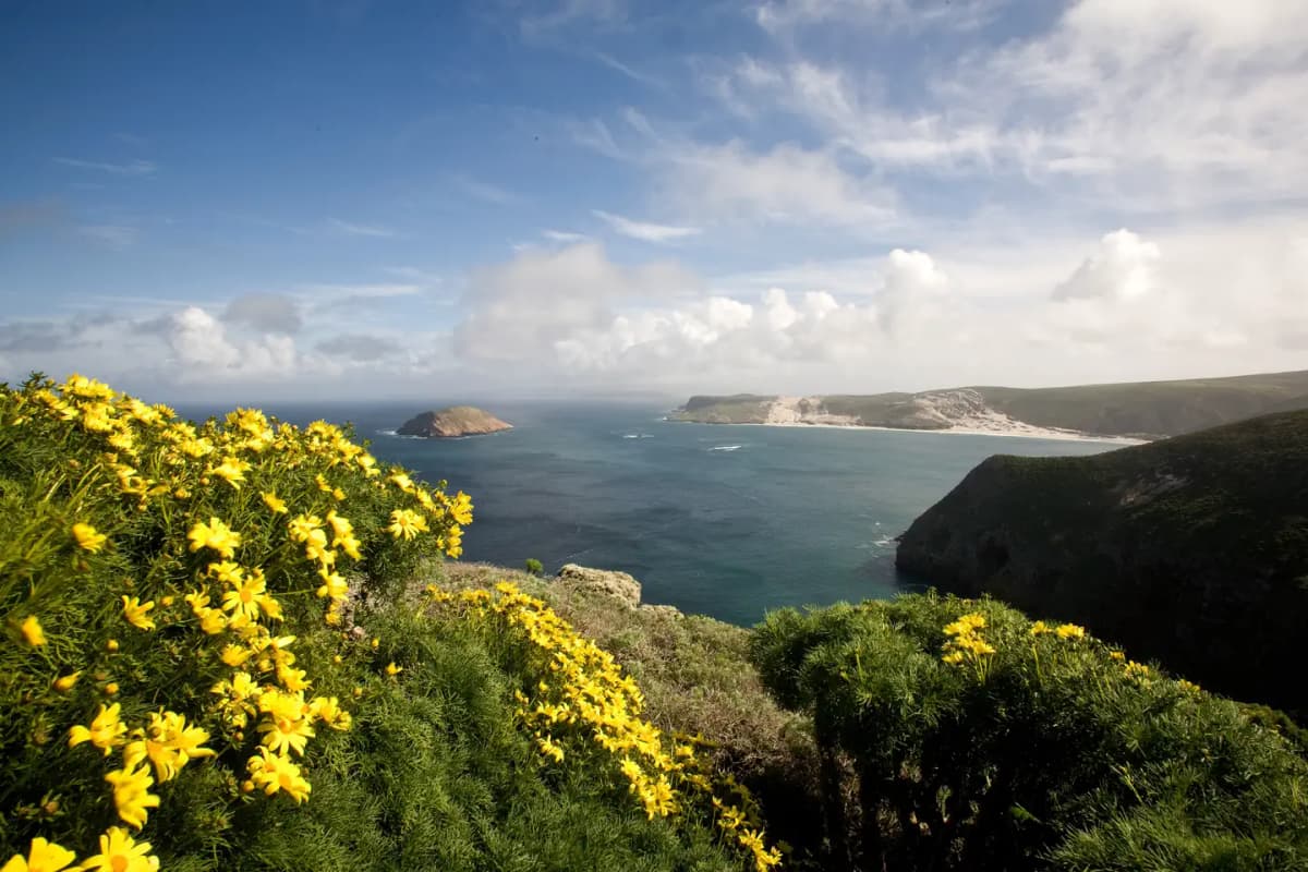 San Miguel Island — photo 1