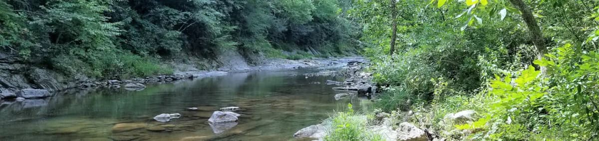 Steel Bridge Campground — photo 1