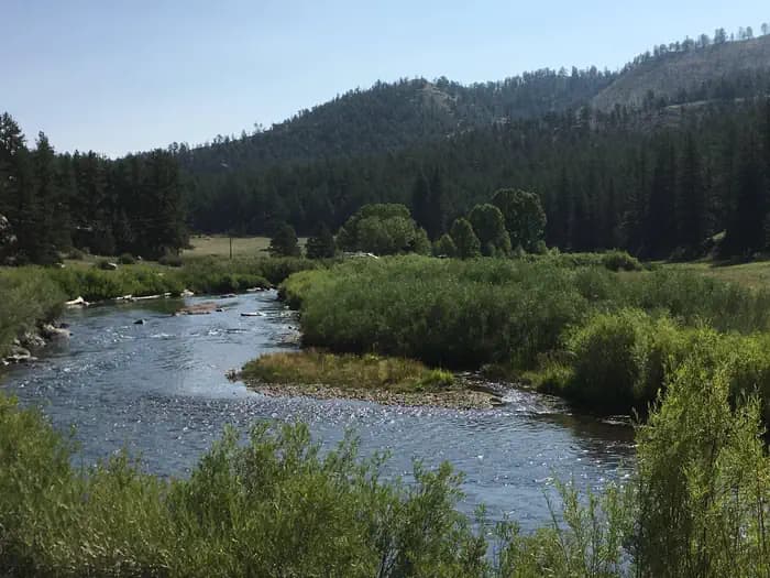 Happy Meadows — photo 1