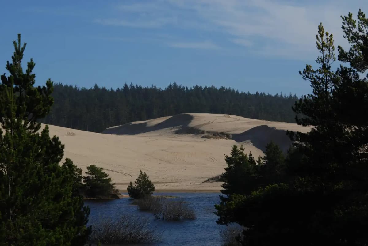Spinreel Sand Camping — photo 1
