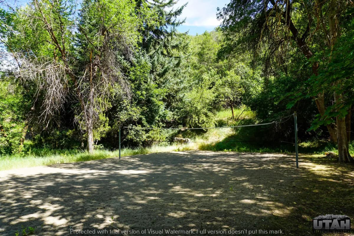 Mueller Park Group Picnic — photo 1
