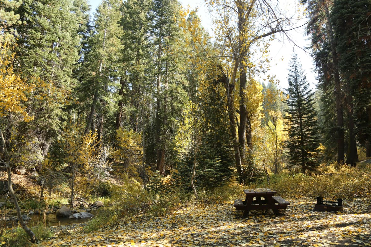 Cold Springs Campground (Ca) — photo 1