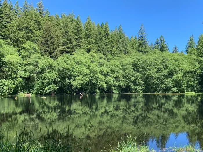 Hebo Lake Campground — photo 1